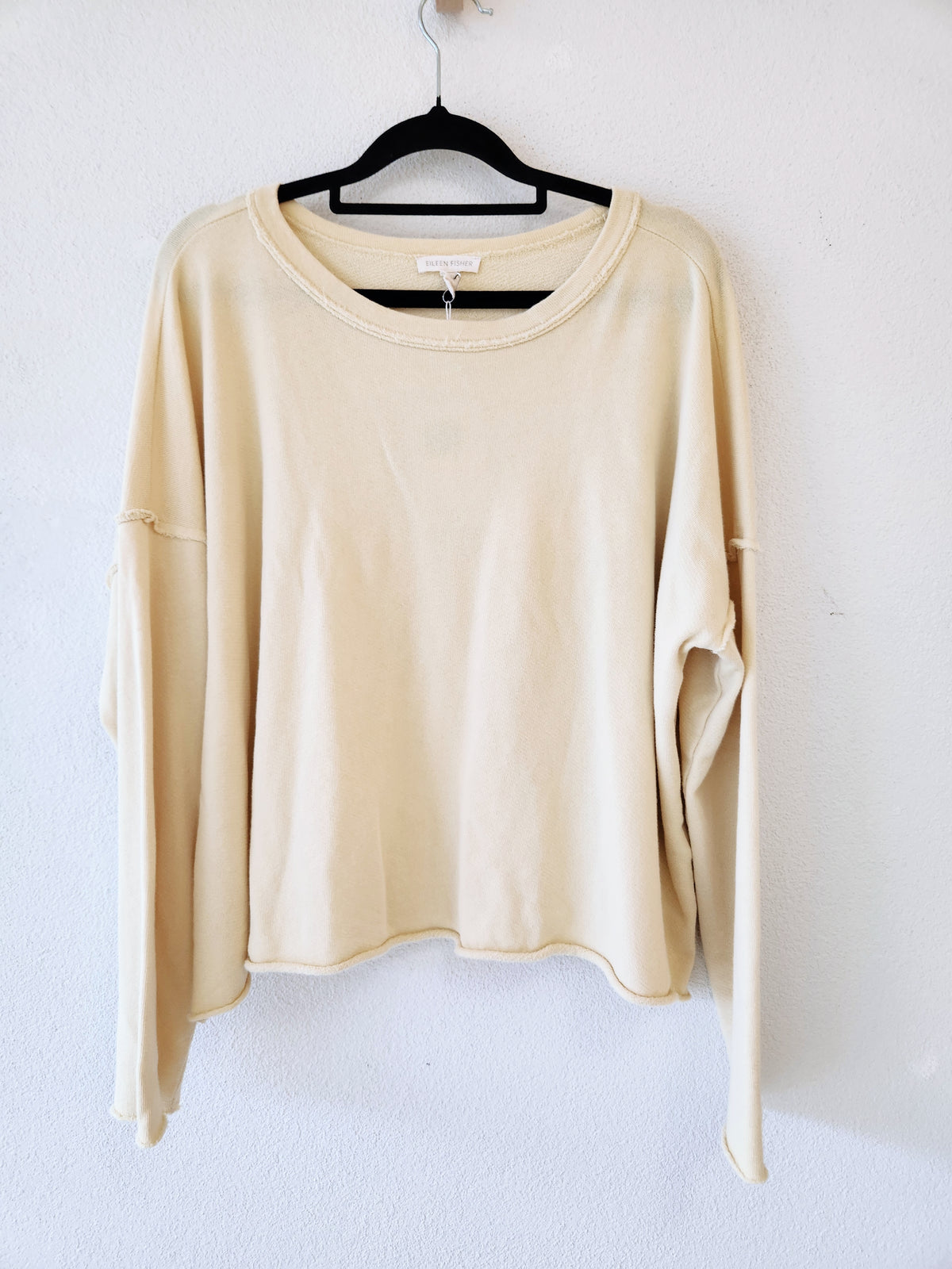 Eileen Fisher top Large