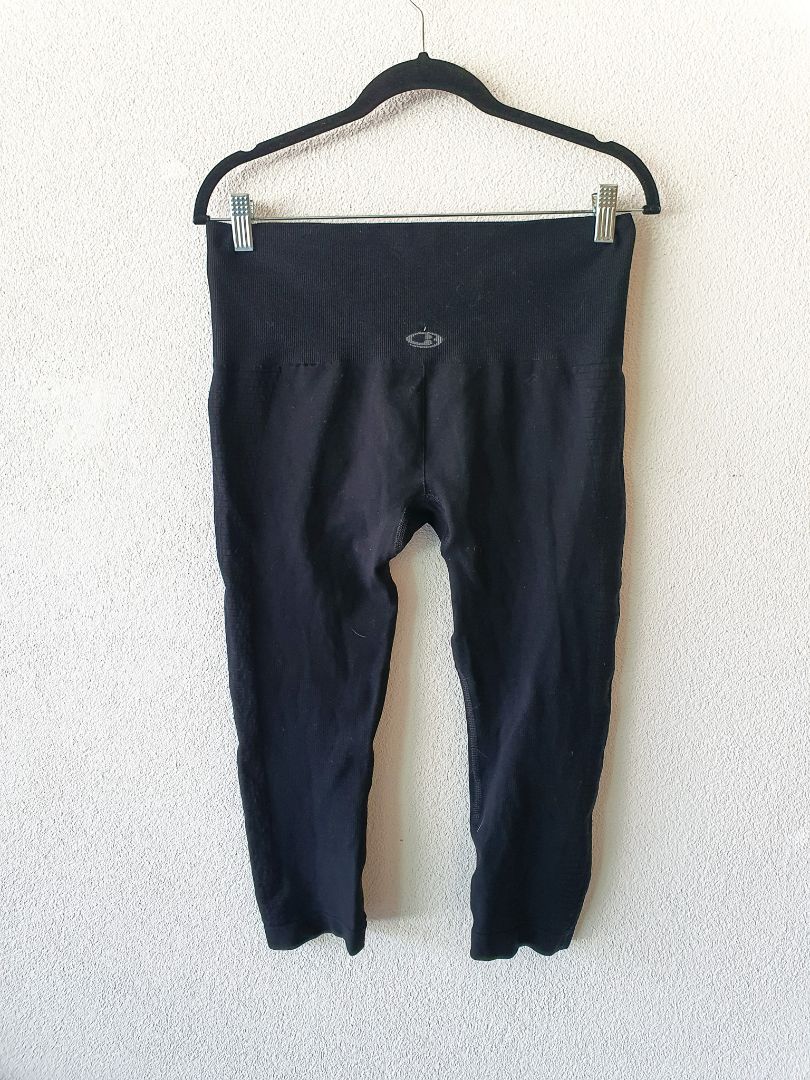 Icebreaker Pants L