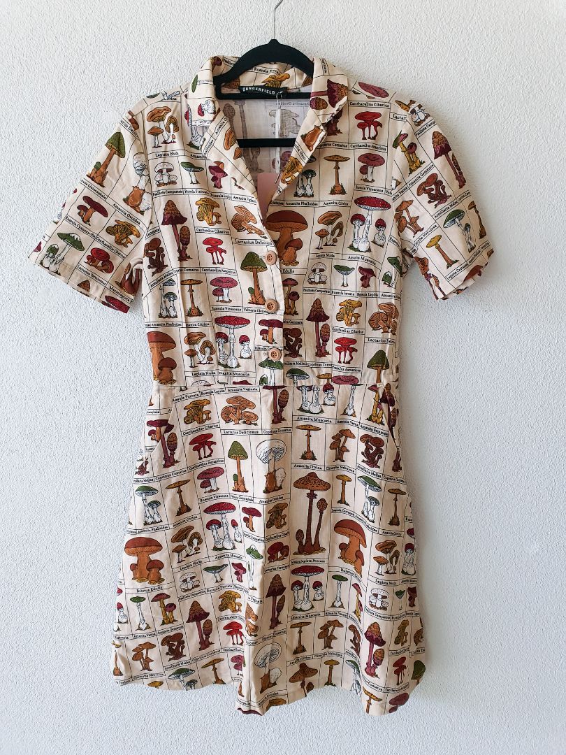 Dangerfield Dress XS