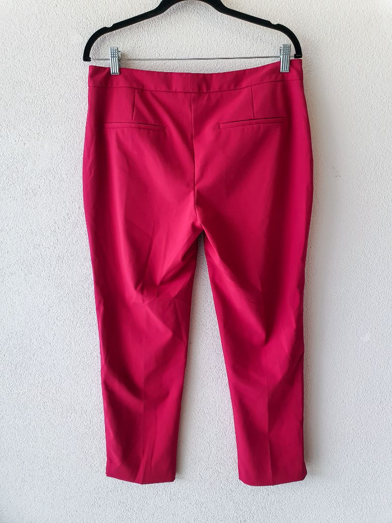 ZARA Pants M