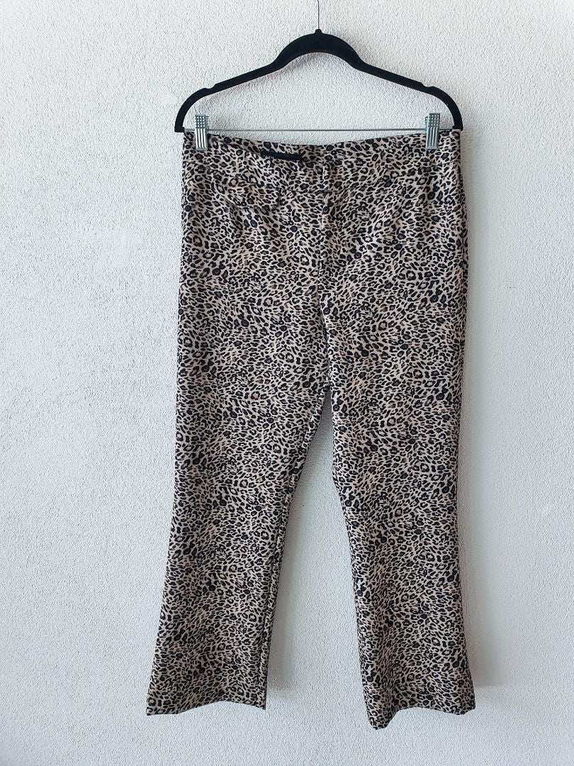 ZARA Pants L
