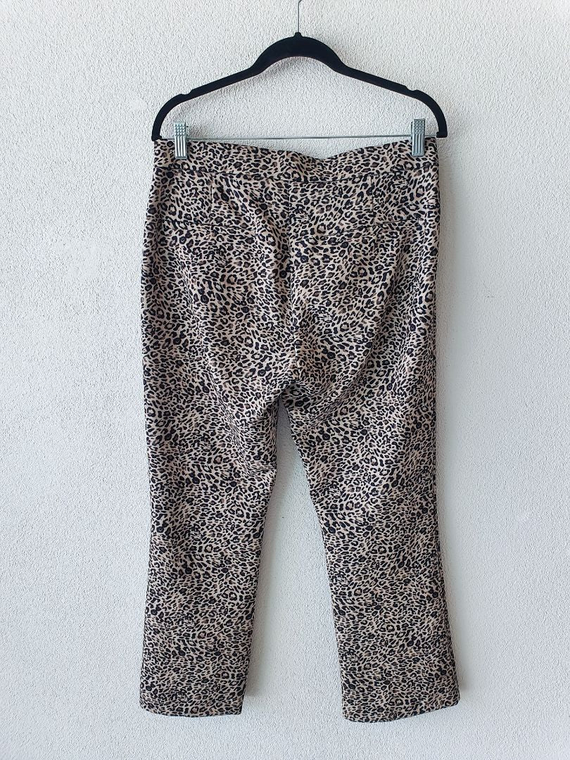 ZARA Pants L