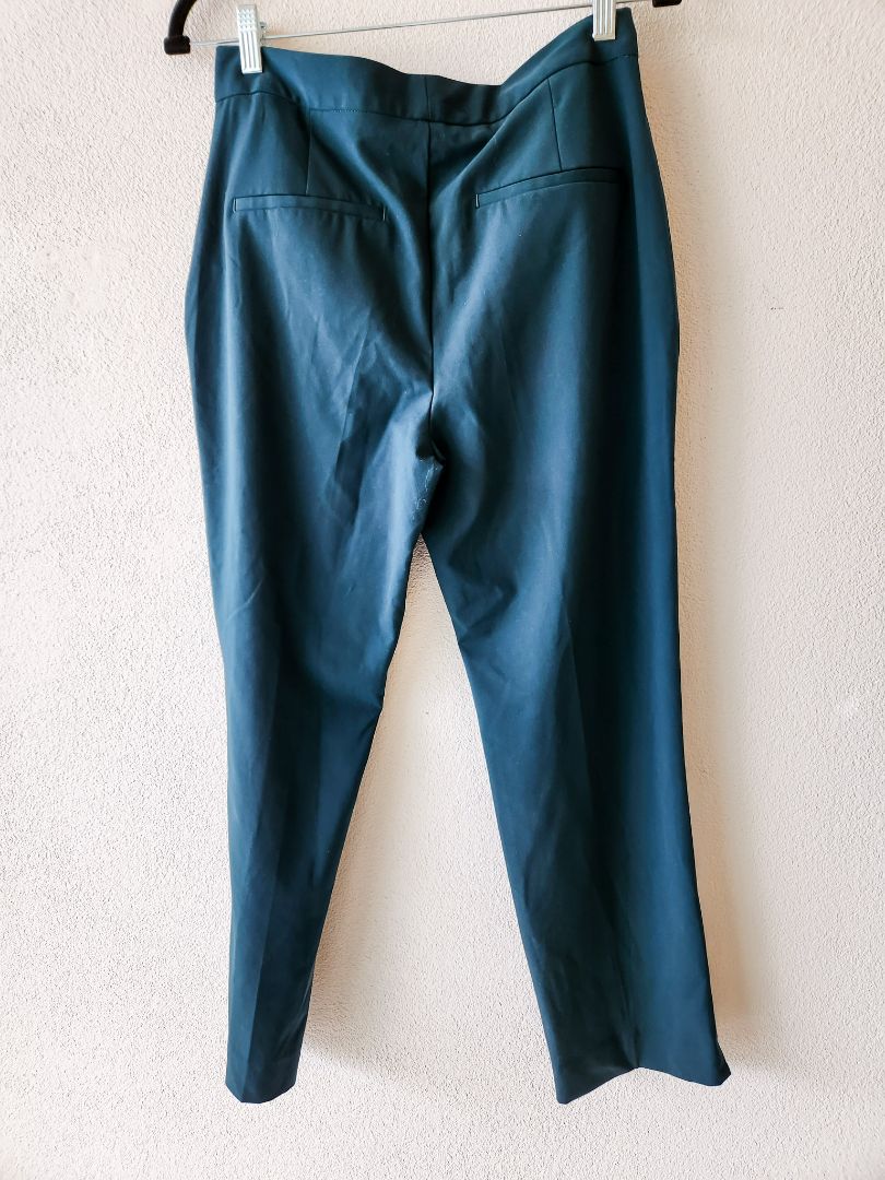 Zara Pants S