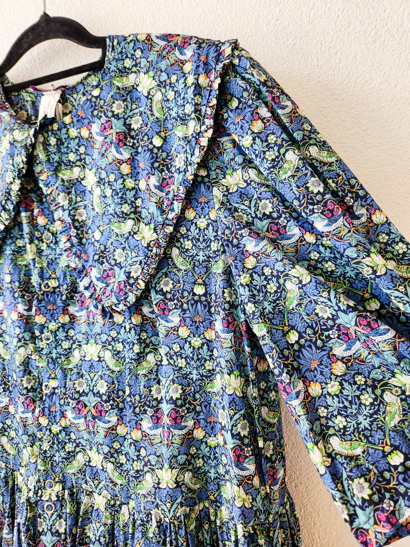 Little Bird Dress S/M