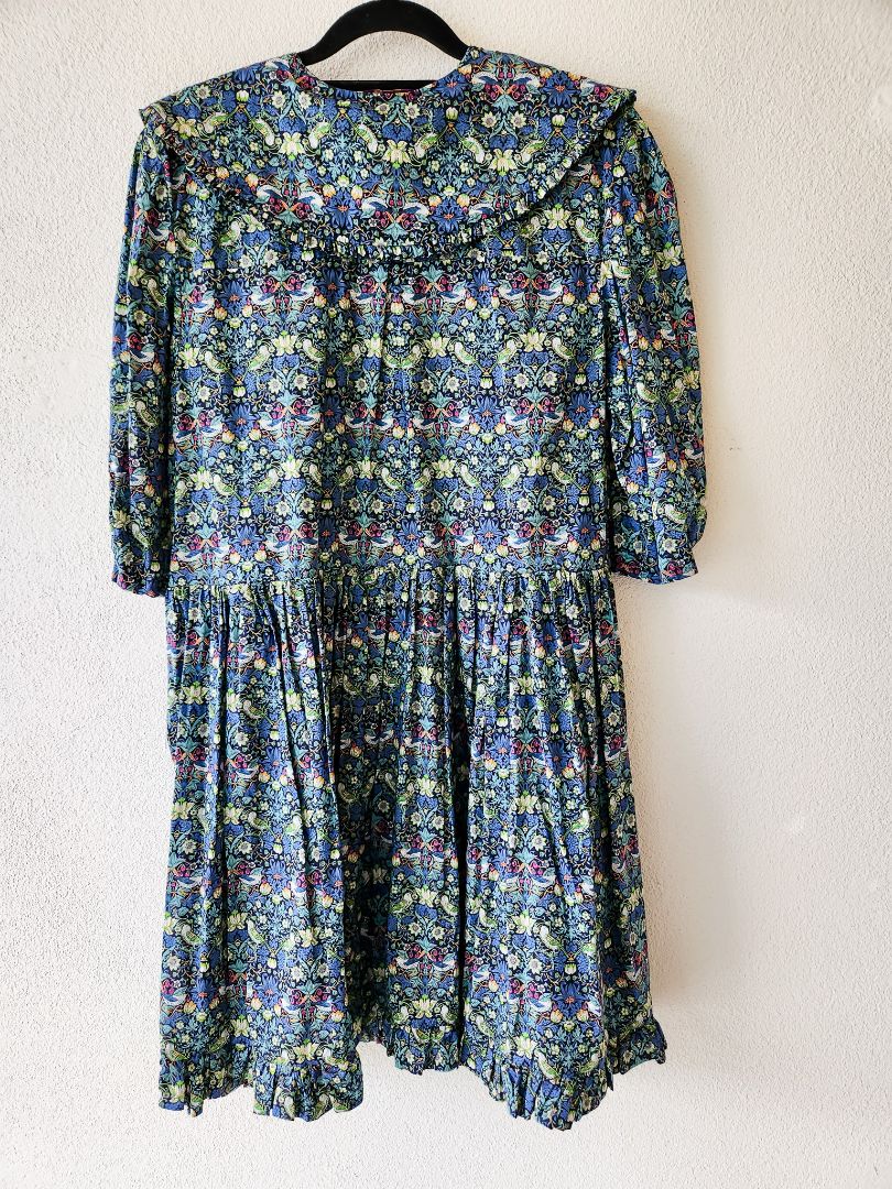 Little Bird Dress S/M