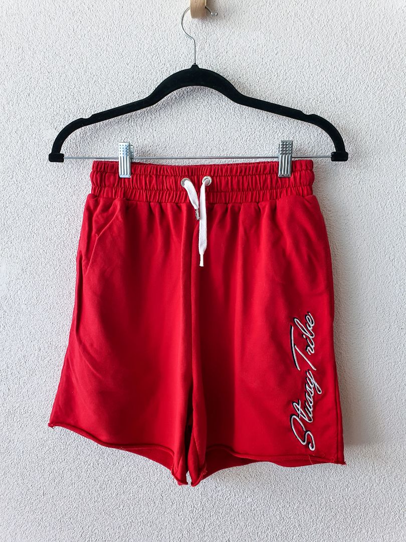 Stussy Shorts XS