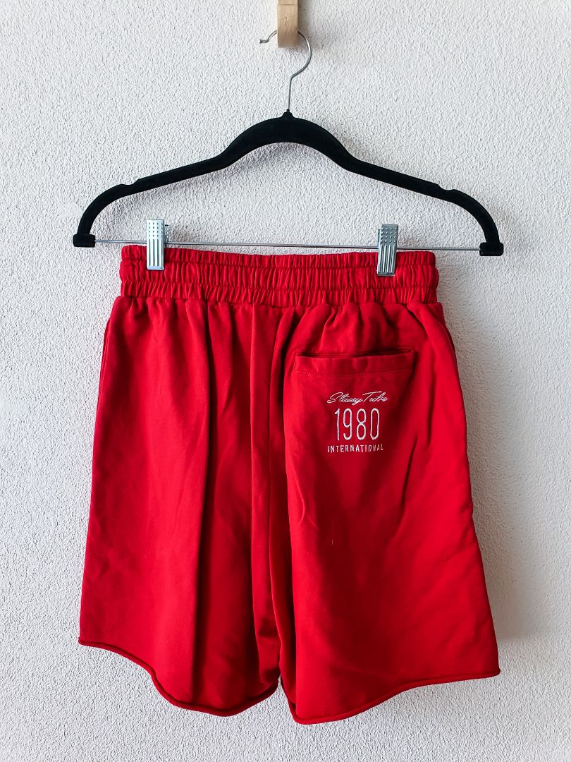 Stussy Shorts XS