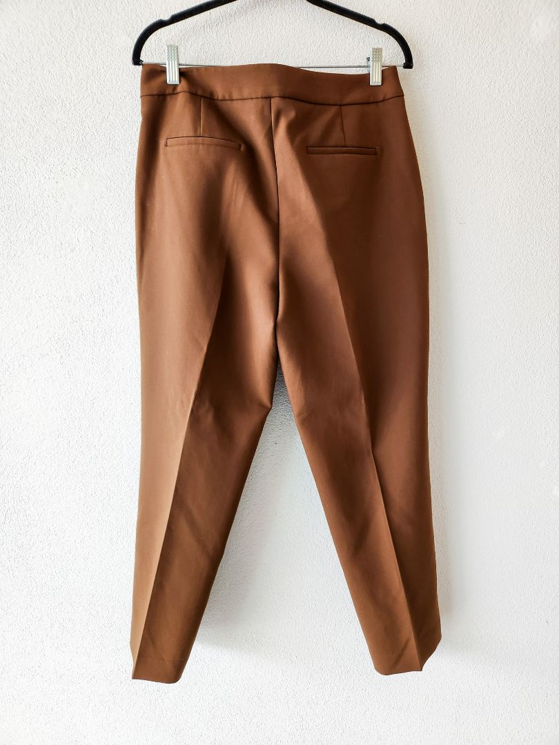 Zara pants M