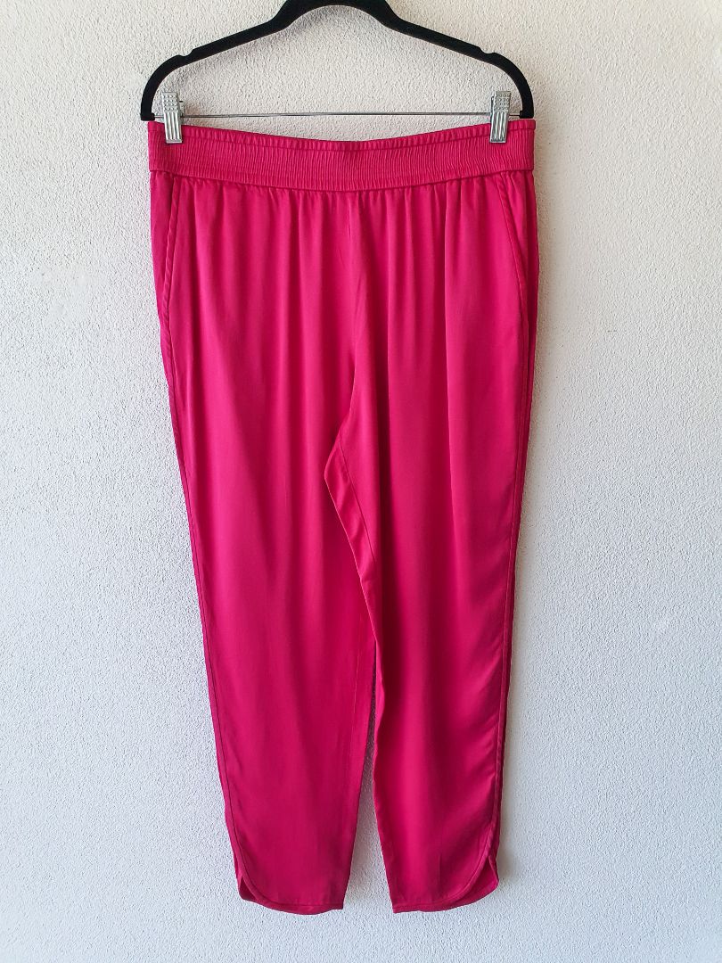 Zara pants L