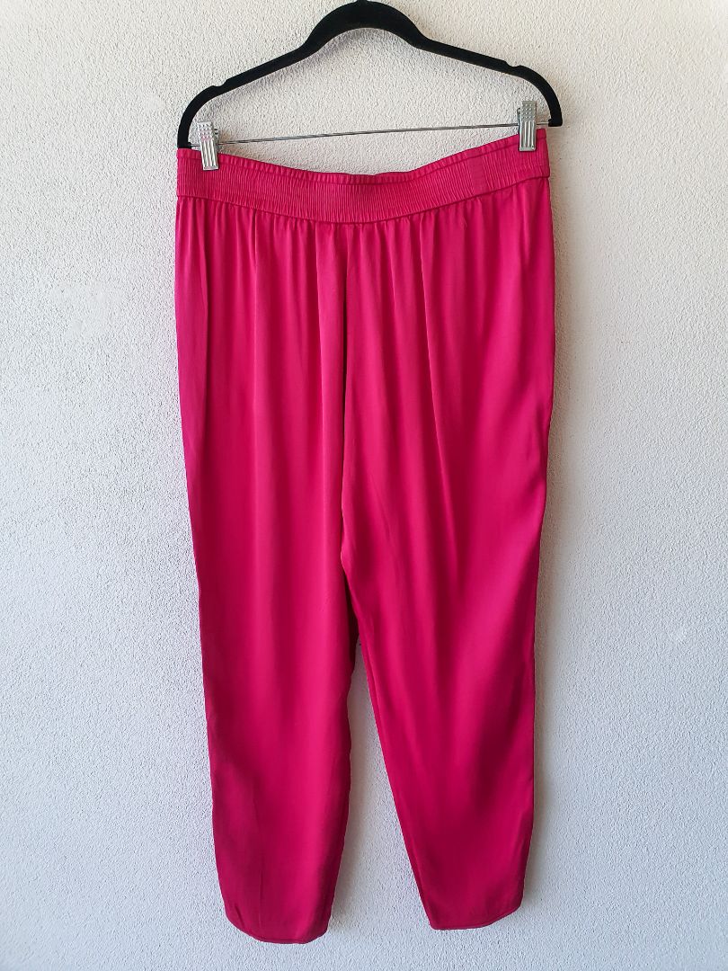 Zara pants L