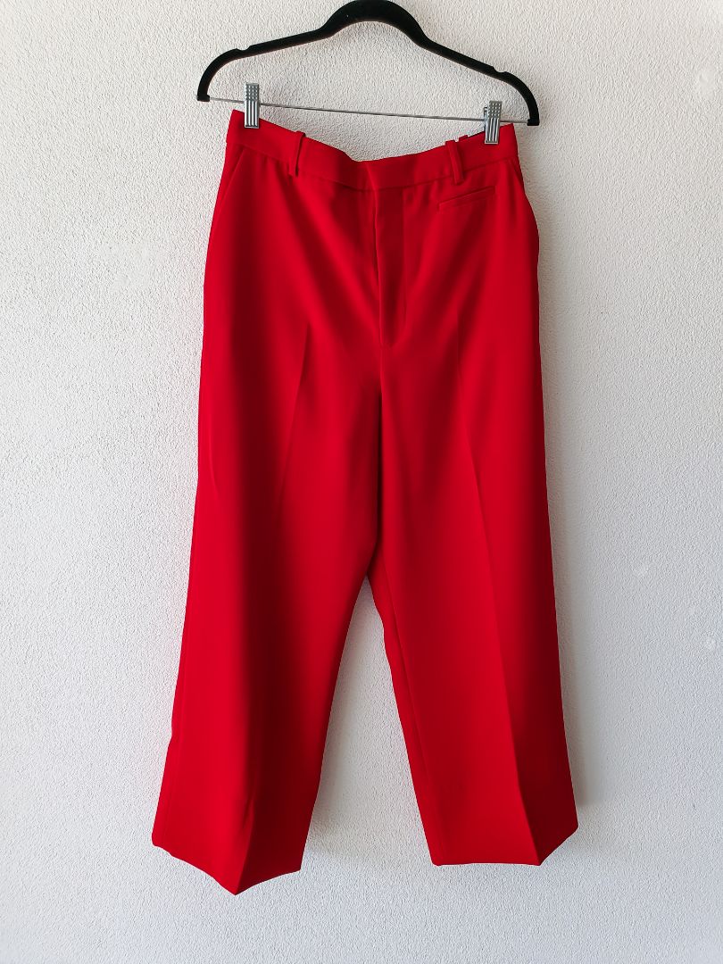 Zara pants M