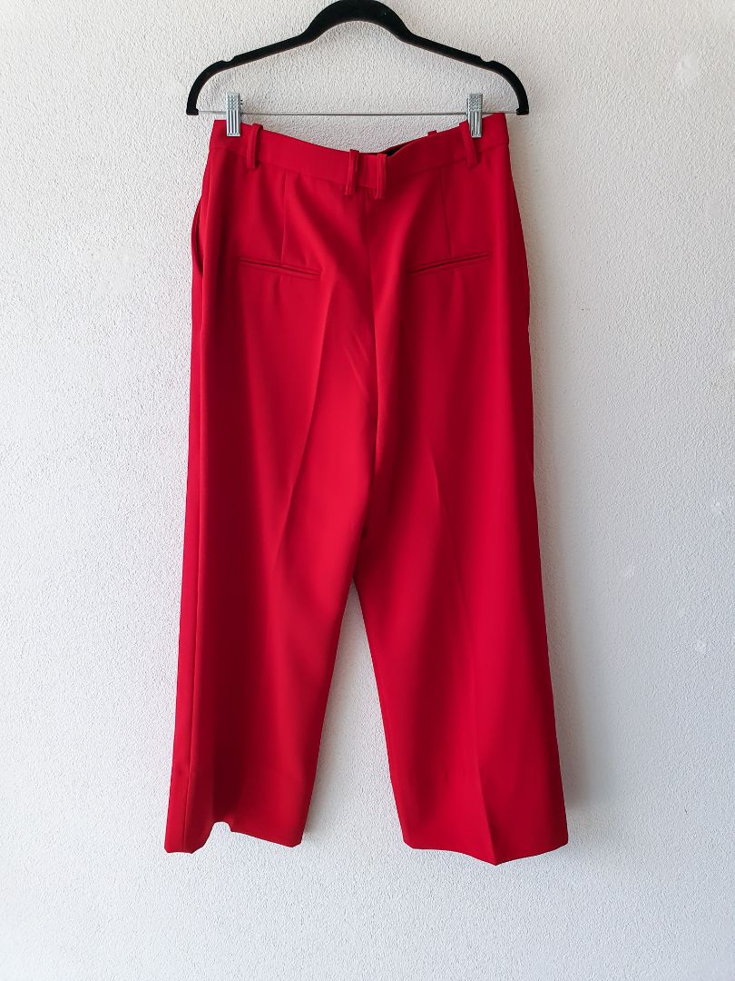 Zara pants M